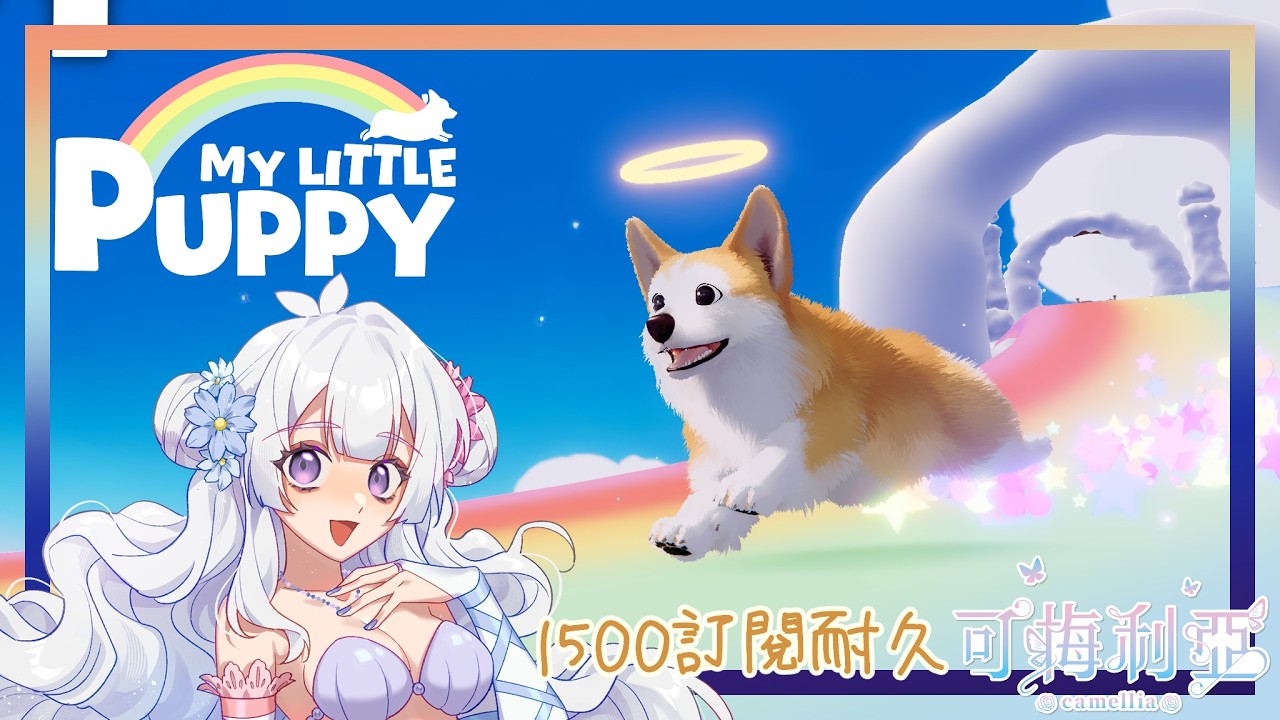 \1500訂閱耐久中/【My Little Puppy / 我的小柯基】 #我的小柯基 #MyLittlePuppy