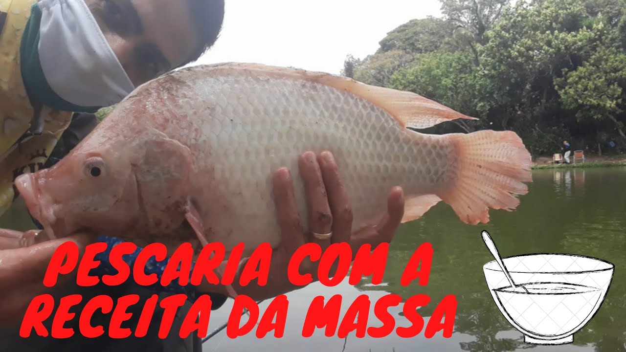#58 - PESCARIA DE TIL&Aacute;PIAS COM A RECEITA DO PROFESSOR  - PESQUEIRO VEGAS