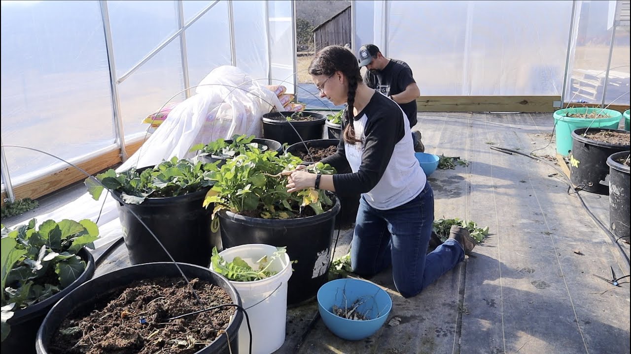Winter Weather is No Match For The Greenhouse!