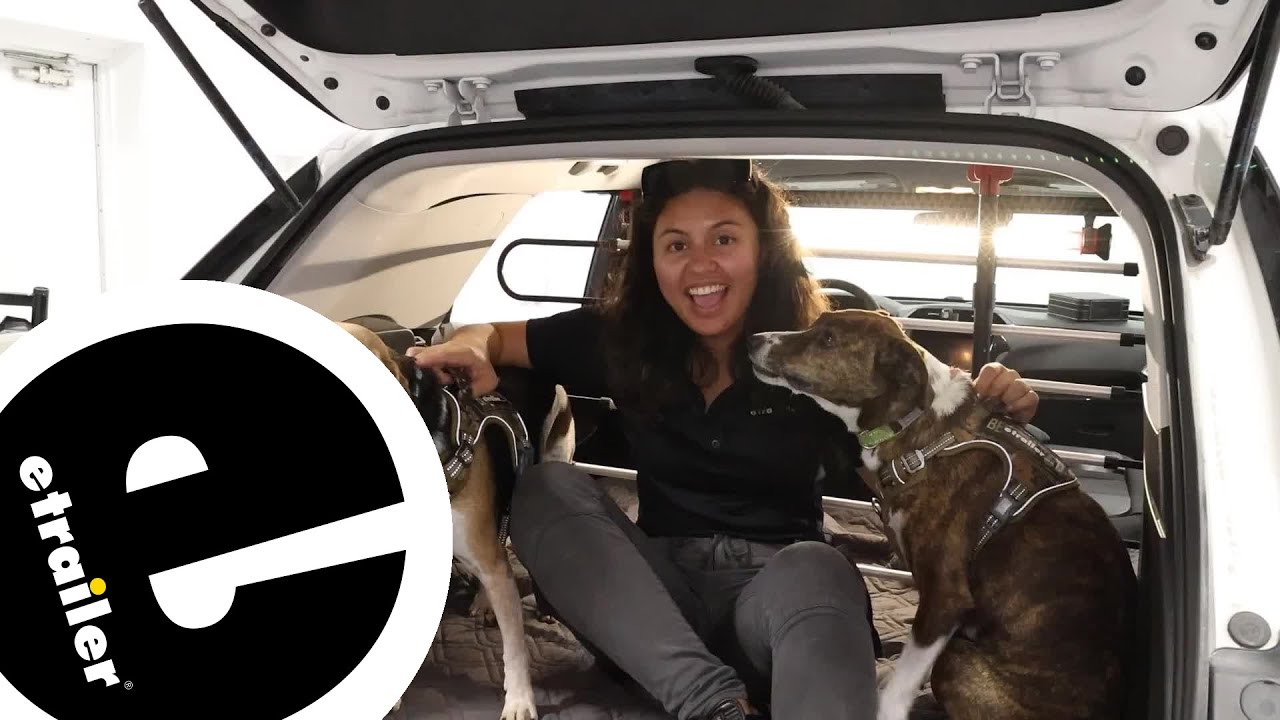 etrailer | A Closer Look at the WeatherTech Pet Barrier for Cars and SUVs