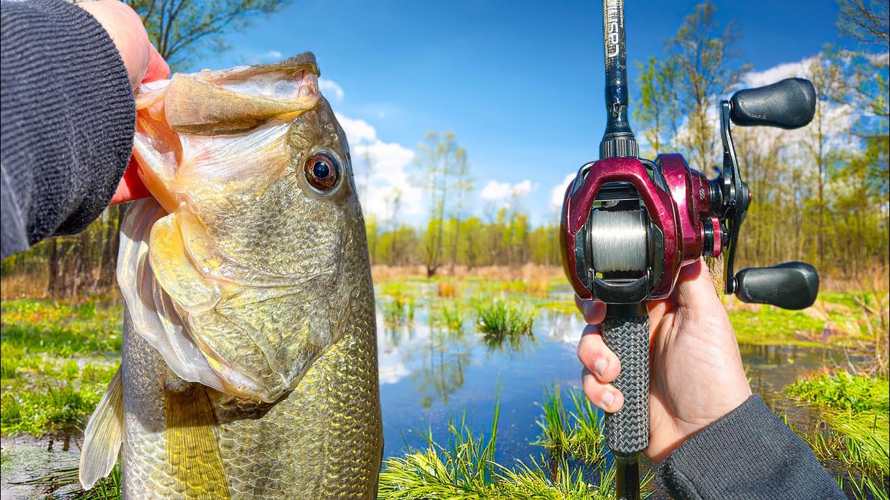 Searching The SHALLOWS For Spring MONSTERS (Kayak Fishing)