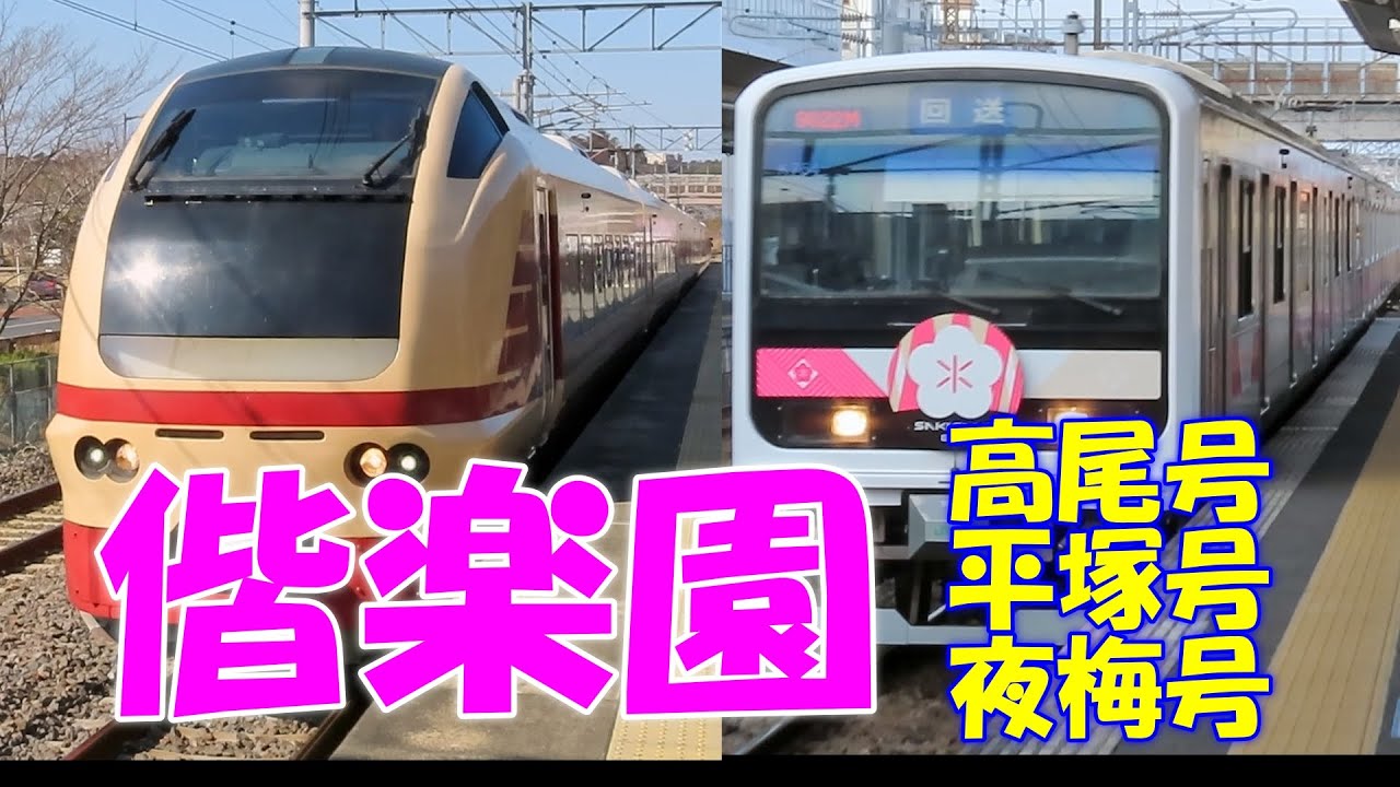 【特急3連続 MH4回】梅の季節をイベント列車で感じる。開業100周年偕楽園駅。水戸偕楽園号、偕楽園夜梅号。キャストは、E653系、E657系、E531系 、E501系　ゲストは、EH500