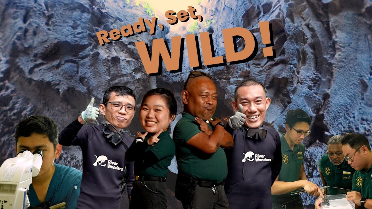 Ready, Set, Wild! Translocating Fishes, Invertebrates, and Snakes to The Cavern!