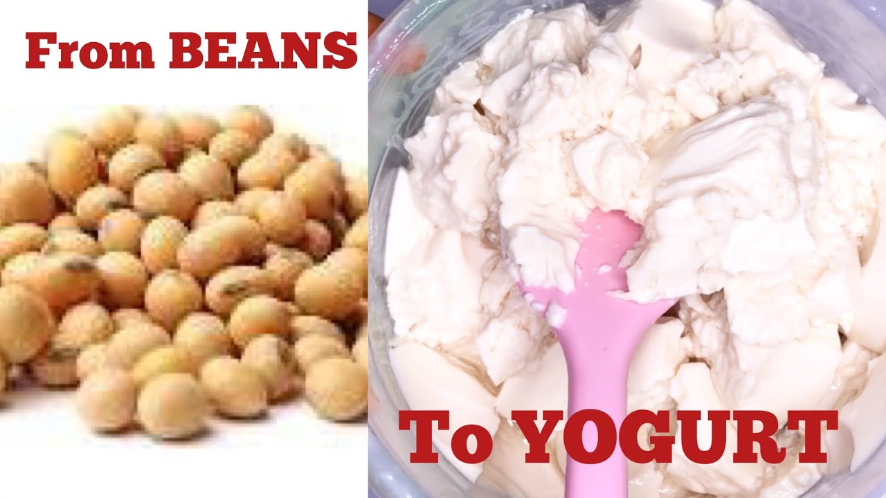 EASY SOY YOGURT RECIPE | DIARY FREE YOGURT | PLANT BASE YOGURT