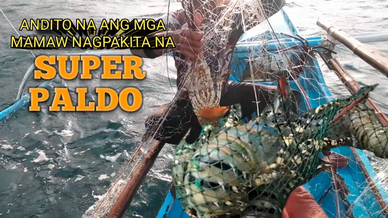 ITO NA ANG PINAKAMALAKI NAMING KINITA NGAYONG TAON  #fishing #lobster #lambat