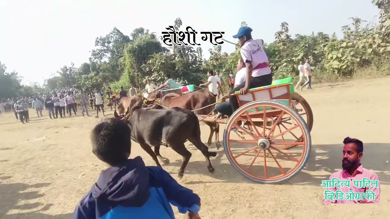 हौशी ग्रुप महाजने आयोजित भव्य घोडागाडी आणि बैलगाडी शर्यत, दि. १४/१२/२०२५. ठिकाण:- महाजने माती बंदर