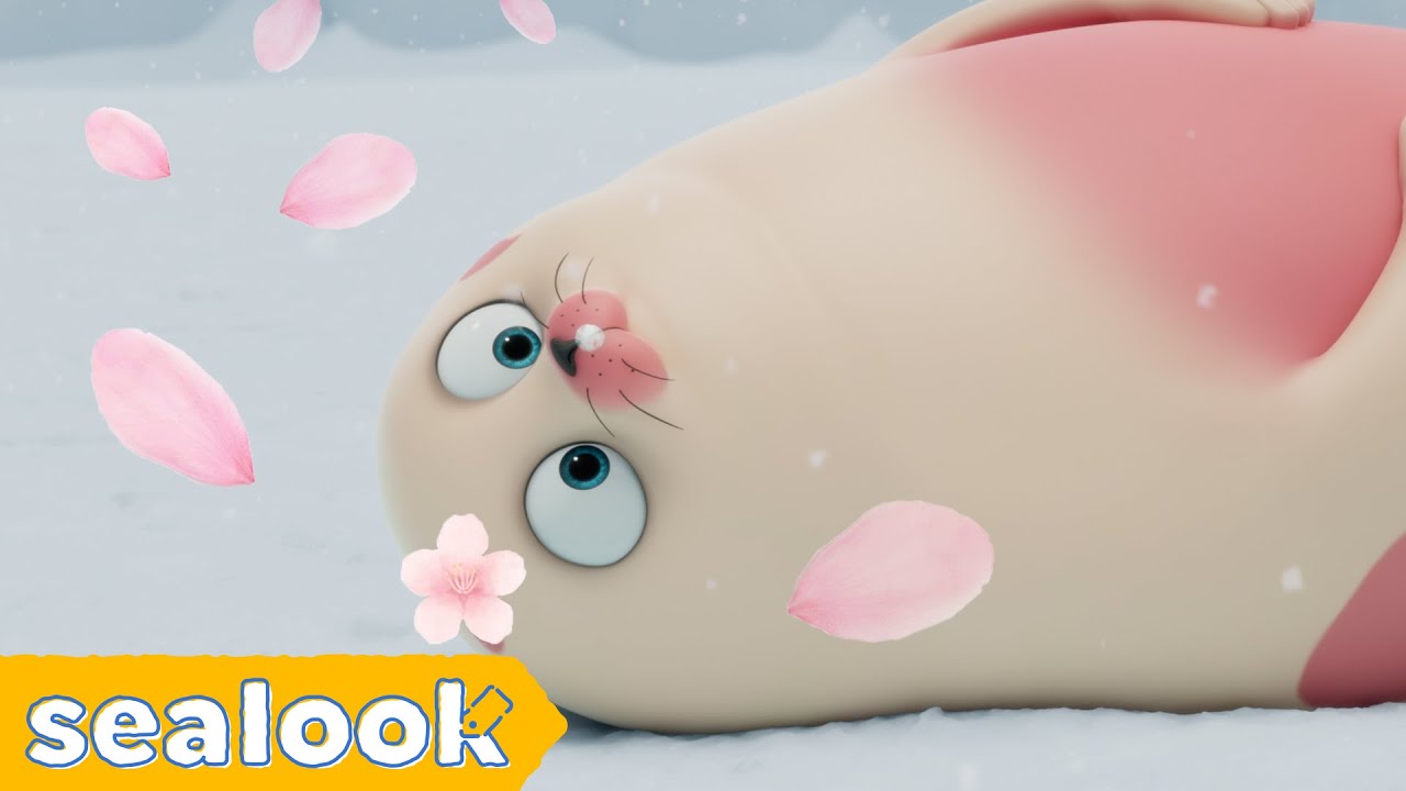 Cherry Blossom Season with #012 Seal🌸 | SEALOOK | Episodes Compilation