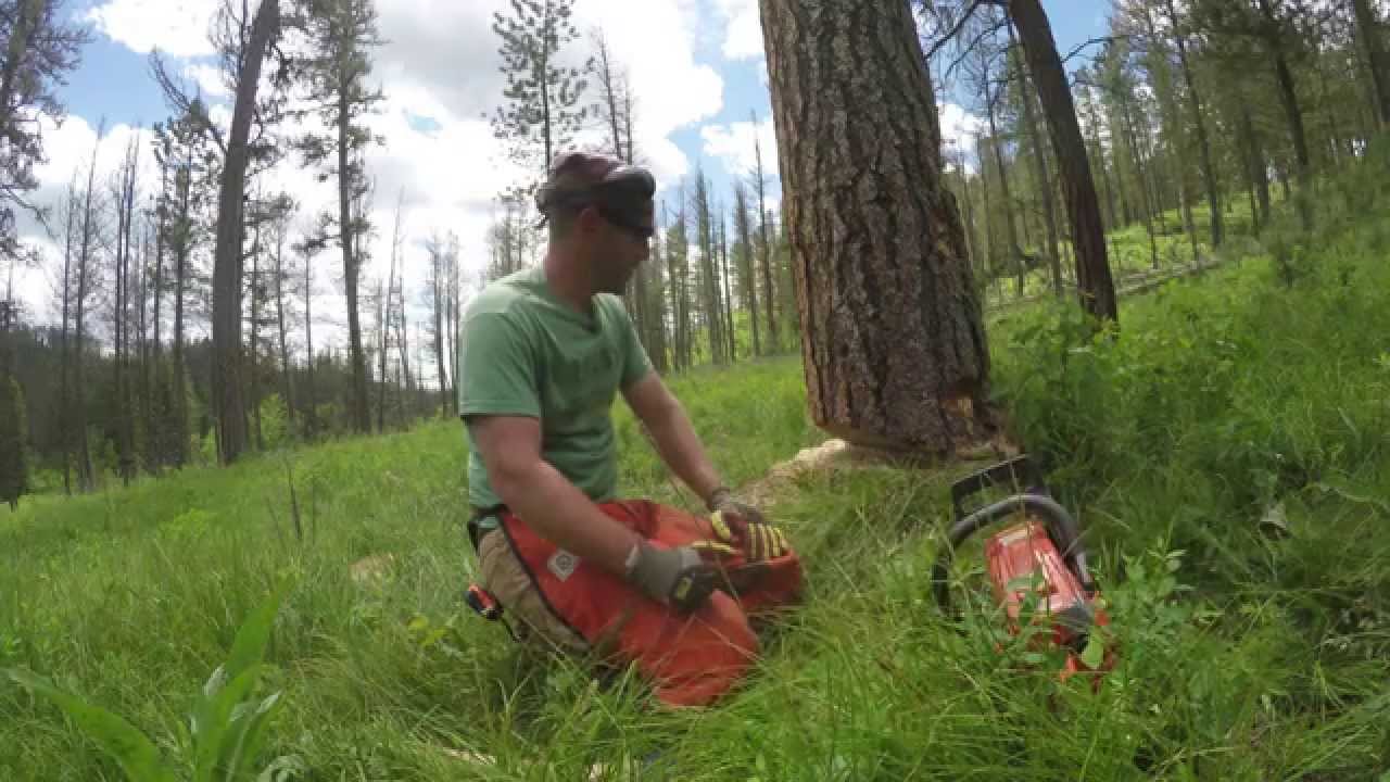 4k HD (Part 2) Woodworking How-to cut your own beetle kill trees for lumber