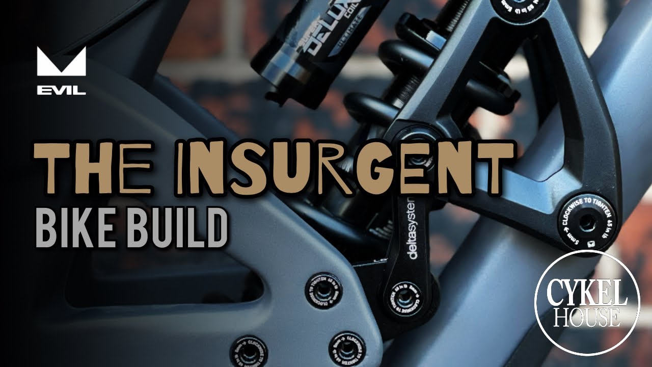 New Evil Insurgent MX (Mullet) build