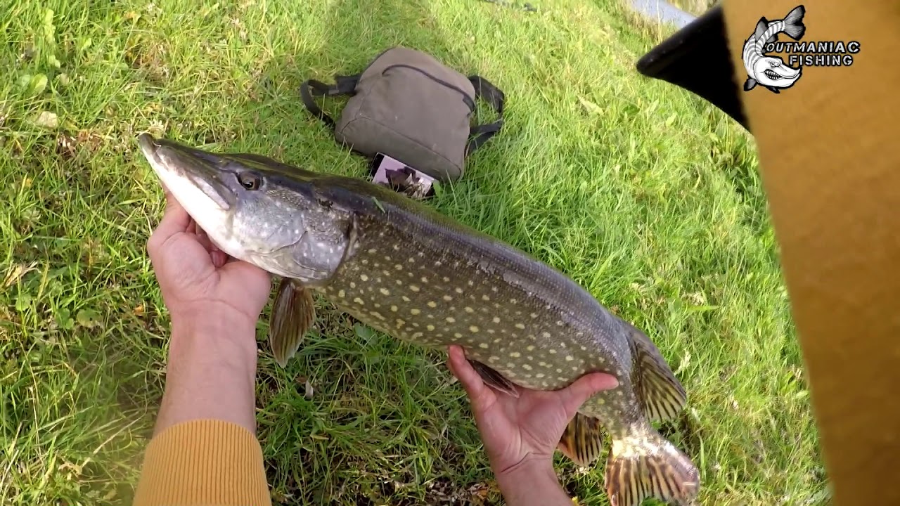 Last pikes of 2019/ at the first cast i was feeling they was there