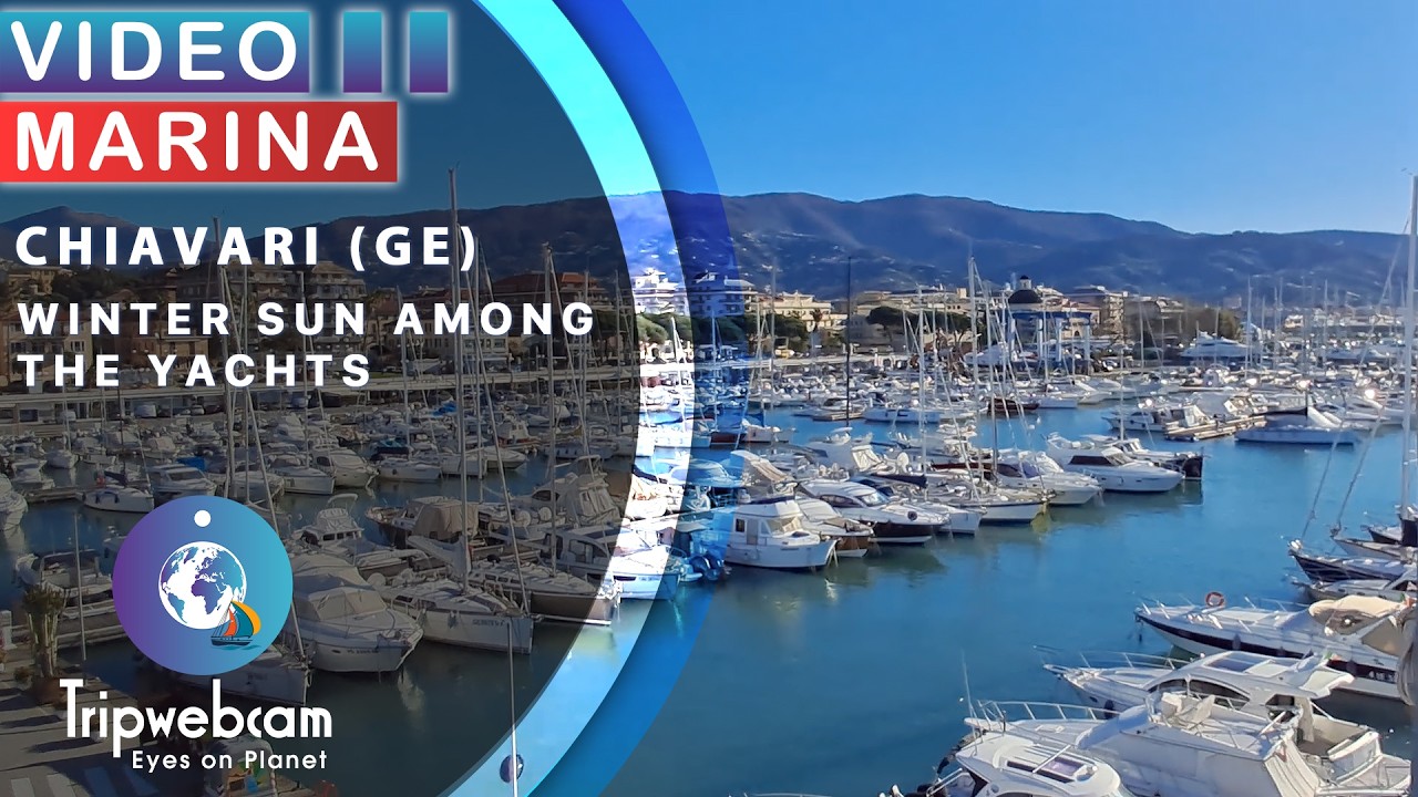 Sunny Winter Day at Marina di Chiavari - Italian Riviera Yacht Harbor