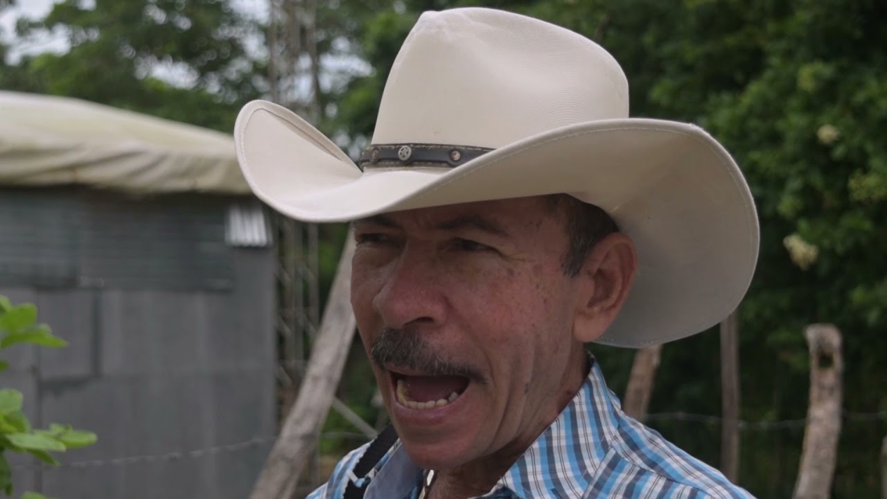 EL HIJO DEL CAMPO VIDEO: CANTAUTOR MANUEL VANEGAS