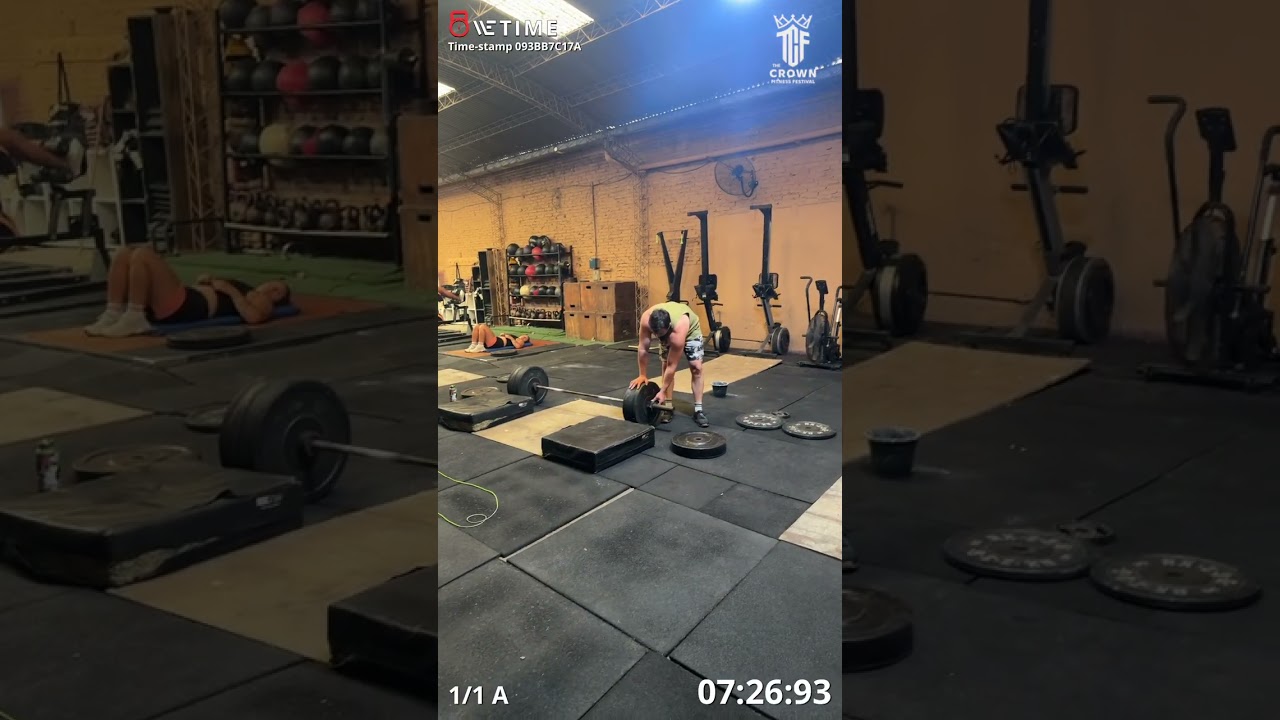 26.1