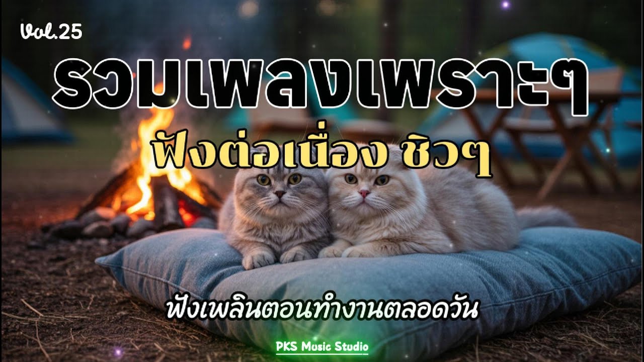 รวมเพลงเพราะๆ ฟังสบายๆ ไม่มีโฆษณาคั่น ฟังยาวๆ 2025, 2026 ฟังในร้านกาแฟ