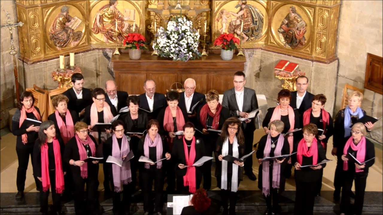 ´LOS ARCOS NAVARRA, VILLANCICOS BARGOTA. 2014-12-27, Fede