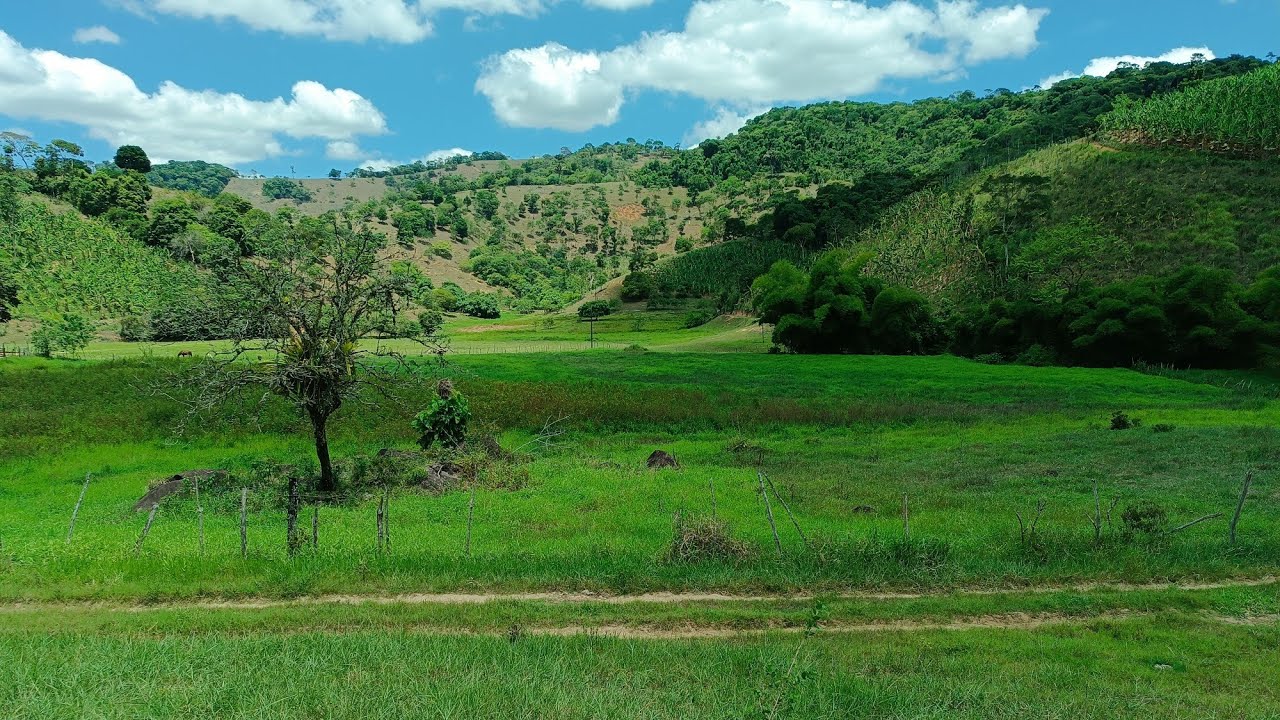 Vende-se um sítio Águas Frias zona rural Santana do Mundaú Alagoas 12 hectares  escriturado $600.000