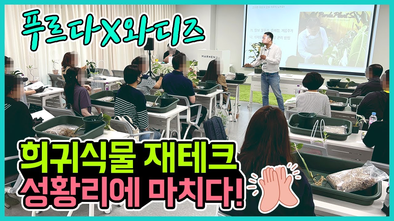 와디즈 최초 식테크 클래스 오프라인 강의 성황리에 종료!ㅣ몬스테라알보 희귀식물 식물재테크ㅣMonstera Albo Plant financial technology Lecture