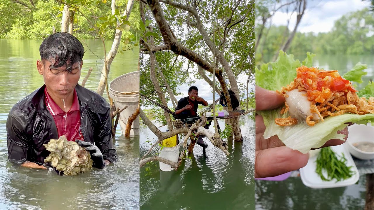 ច្រមុជទឹករកអ័យស្ទ័រ