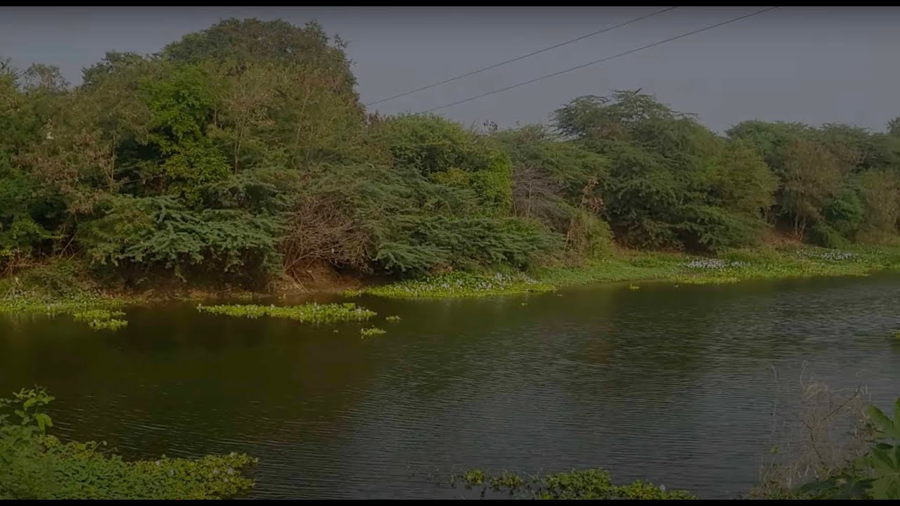 The Story of Kolleru Lake