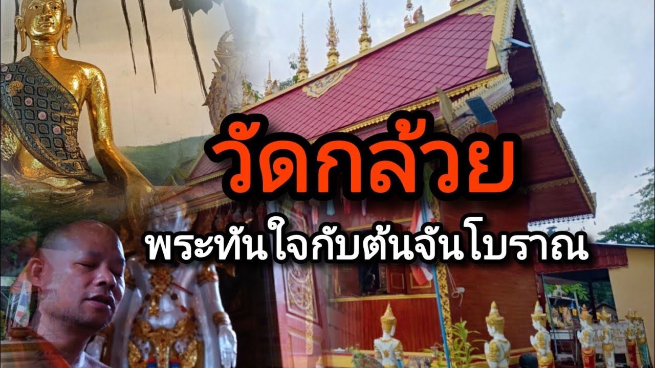 วัดกล้วย ตำนานวัดโบราณกลางป่ากล้วย กับพระพุทธรูปหลวงพ่อเขียวศักดิ์สิทธิ์ เดินเข้าป่า ชมต้นจันโบราณ