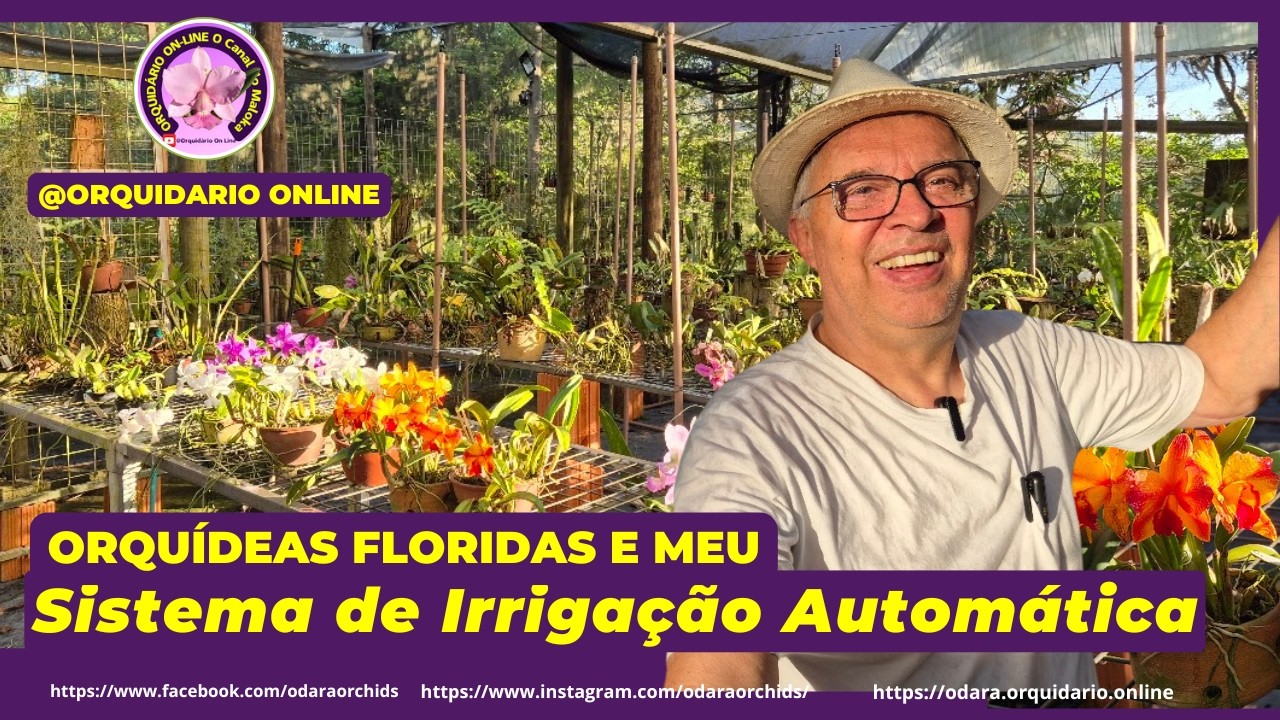 Neste V&iacute;deo mostro Lindas Orqu&iacute;deas Floridas e o Sistema de Irriga&ccedil;&atilde;o Autom&aacute;tico do #orquid&aacute;rio