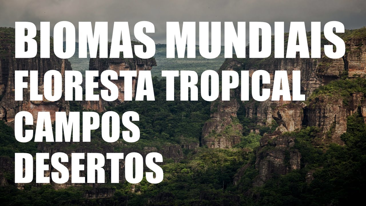 05 Biomas Mundiais II