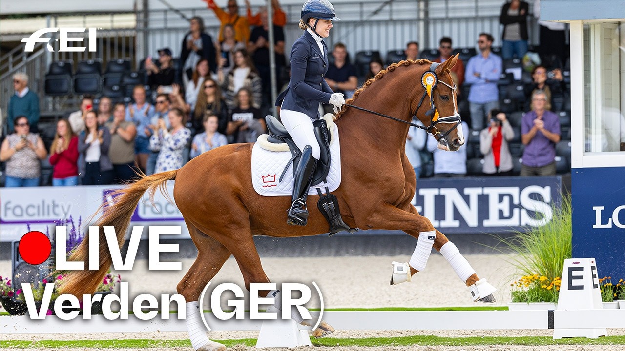 🔴 LIVE | Qualifier 6-year-old horses FEI Dressage World Breeding Championship for Young Horses 2026