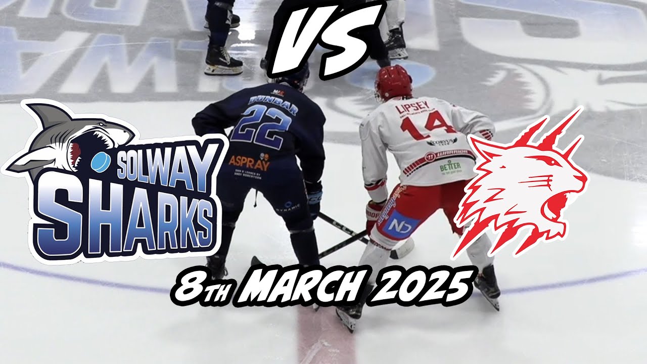 Sharks V Wildcats  08 03 25 Highlights