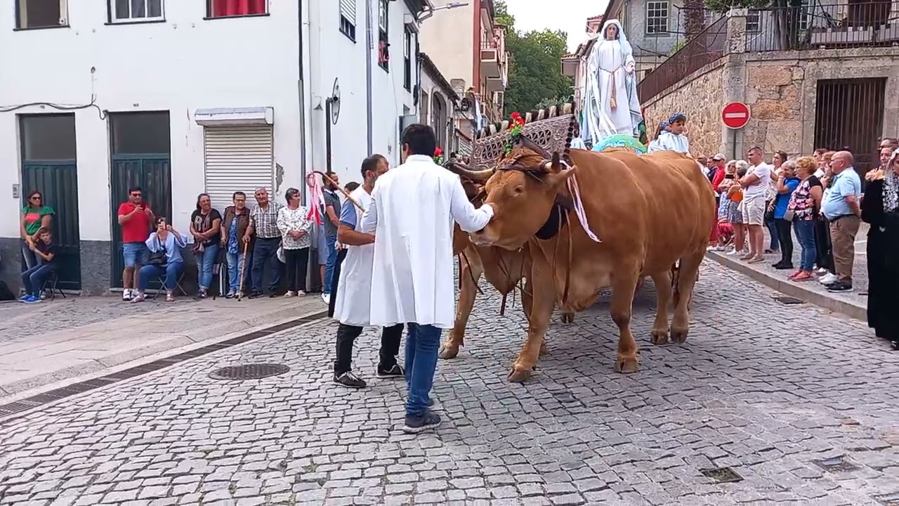 Procissão De Triunfo em Honra De Nossa Senhora Dos Remédios Lamego