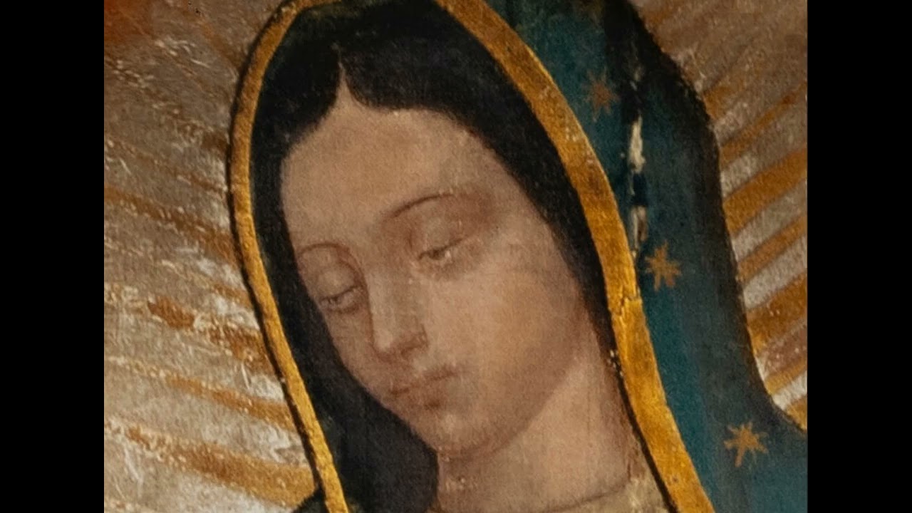 Matka Boża z Guadalupe. Patronka cywilizacji miłości  Carl Anderson, Eduardo Chávez