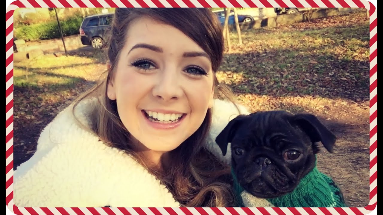 Pug Party! | Vlogmas