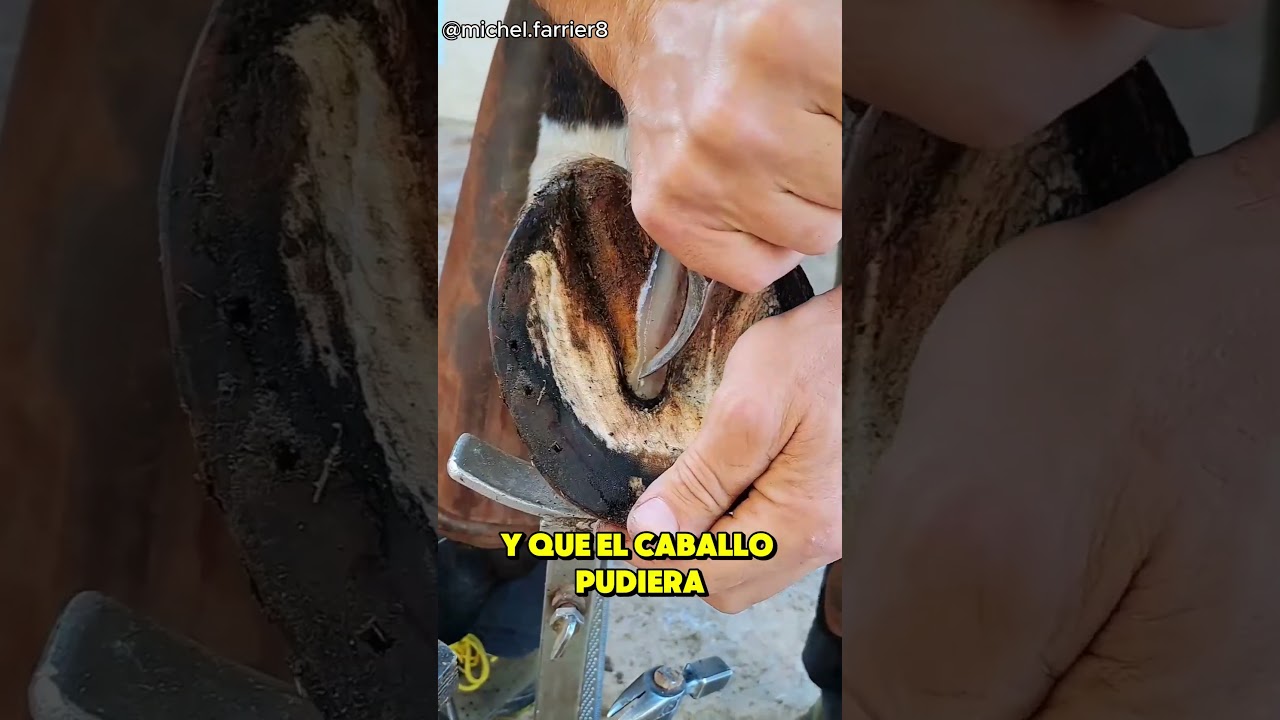Restauraci&oacute;n satisfactoria de herraduras de caballo 🥺