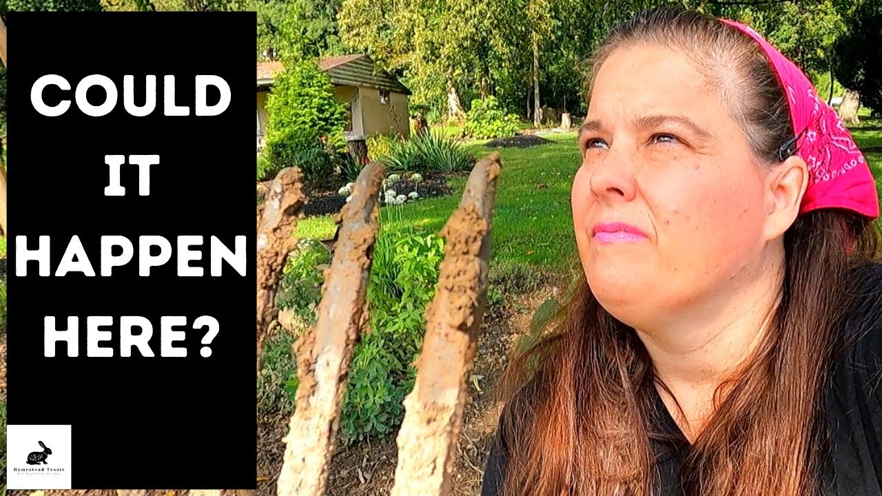 (Prelude) Survival Series /Prepare/ Are We In 7 Years of Famine? Chapter 1