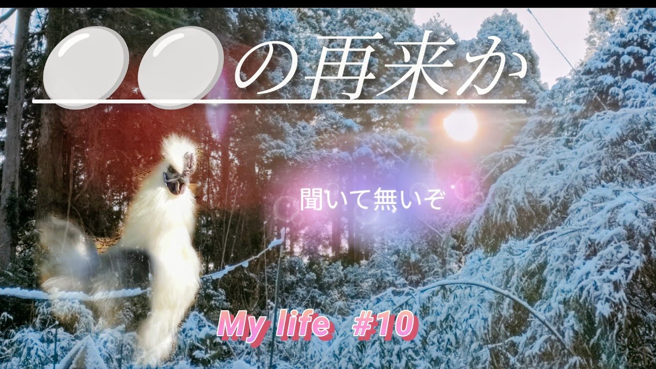 【雪月風花】💮夢は夢でしか無い💖｜🤓欲すれば自然と出るアイデア👀