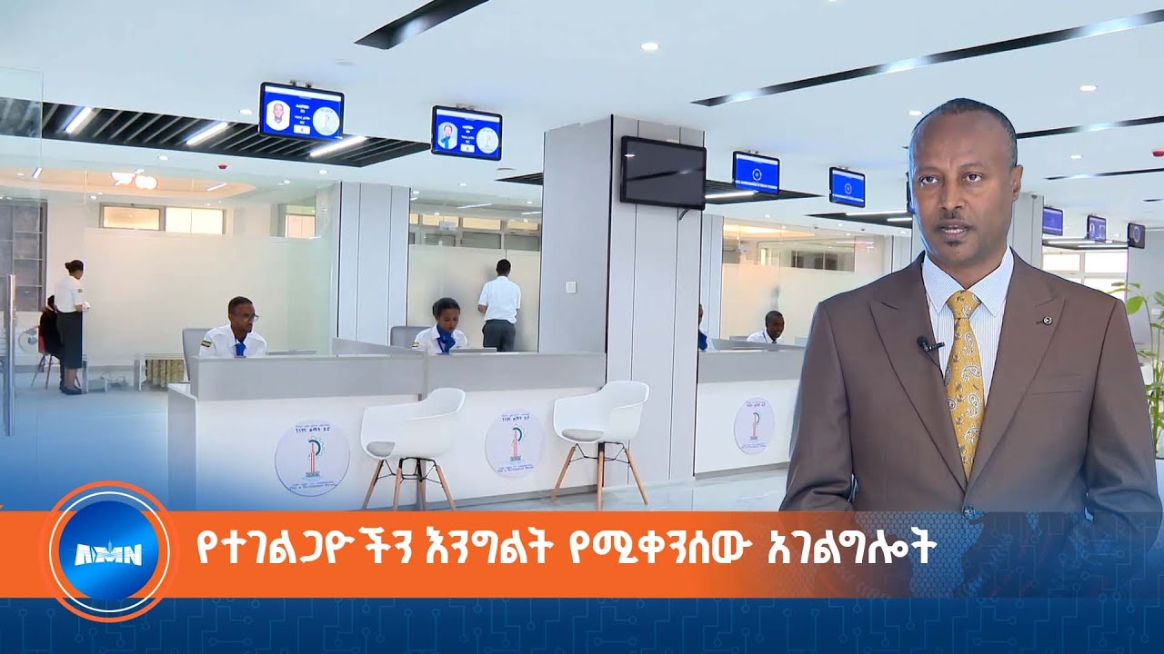 የአዲስ መሶብ የአንድ ማዕከል እና የሚያስቀራቸው የአሰራር እንከኖች