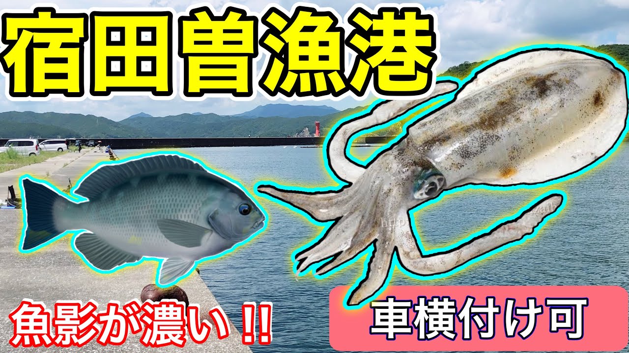 【宿田曽漁港】釣り場が沢山/南伊勢/アオリイカ/グレ/車横付け/三重県釣り場紹介