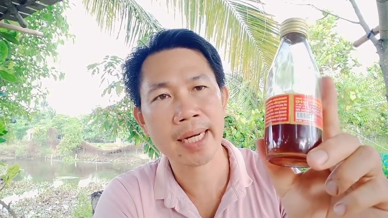 Gà kén ăn bỏ ăn, ốm lườn anh em nên xem hết video này
