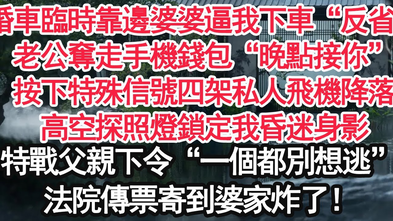 婚車臨時靠邊婆婆逼我下車“反省”，老公奪走手機錢包“晚點接你”按下特殊信號四架私人飛機降落，高空探照燈鎖定我昏迷身影，特戰父親下令“一個都別想逃”法院傳票寄到婆家炸了！【顧亞男】【大女主】【婚姻自主】