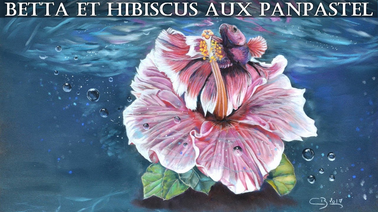 Démonstration de PanPastel