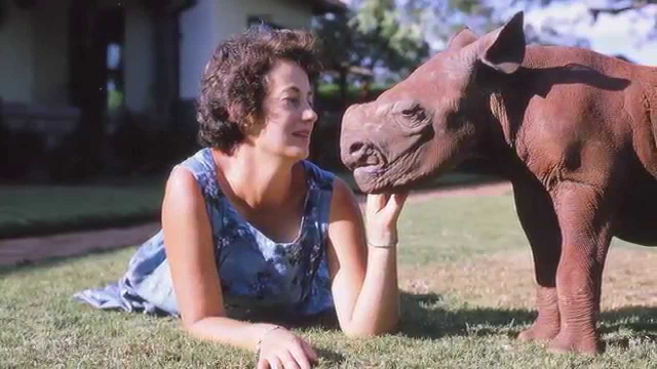 Kristin Davis shares a message on Dame Daphne Sheldrick's 80th Birthday | Sheldrick Trust