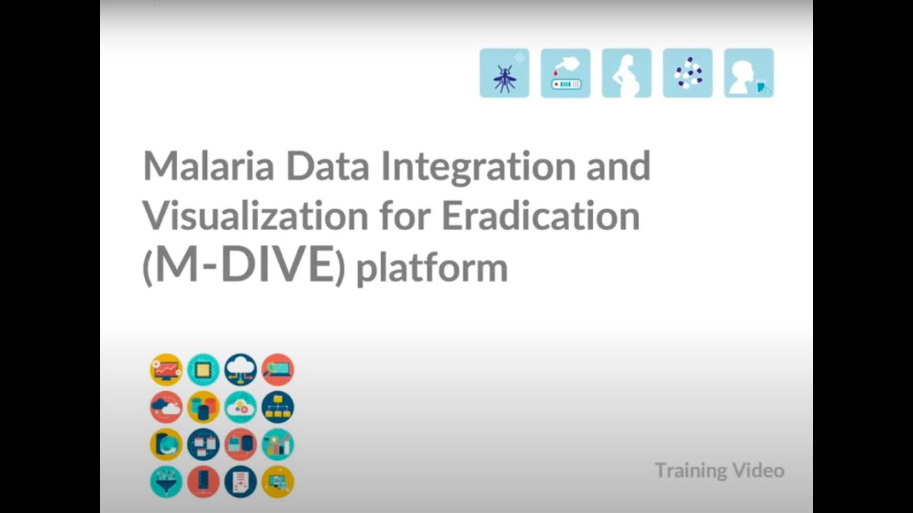 Malaria Data Integration and Visualization for Eradication (M-DIVE) Platform Training