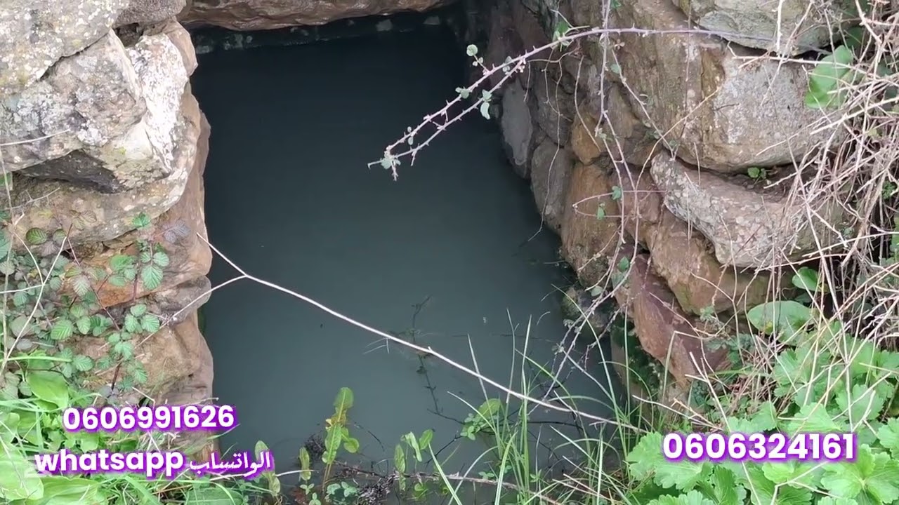 قطعة ارضيه ملكية 3دلهكتار واصلا الماء والضوء والطريق نواحي ملوسة طنجة 