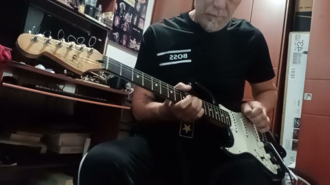 Fender Stratocaster 96 México SX standard 2008 .