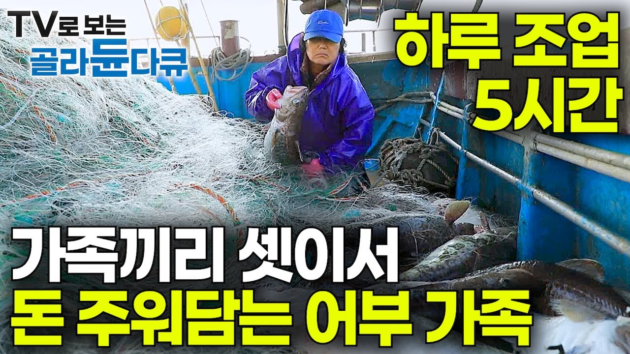 외국인 선원은 어쩔 수가 없었다. 하루 5시간 바다에 나가 말 그대로 가족끼리 셋이서 돈 주워담는 어부 가족｜마리당 10만 원 금값 물고기｜만선 대구잡이｜바닷가 사람들｜#골라듄다큐