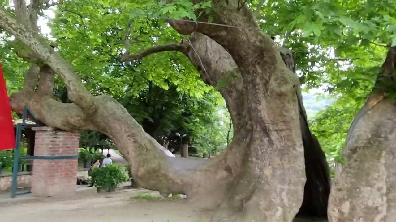 BURSA BABASULTAN KÖYÜ (Geyikli Baba)