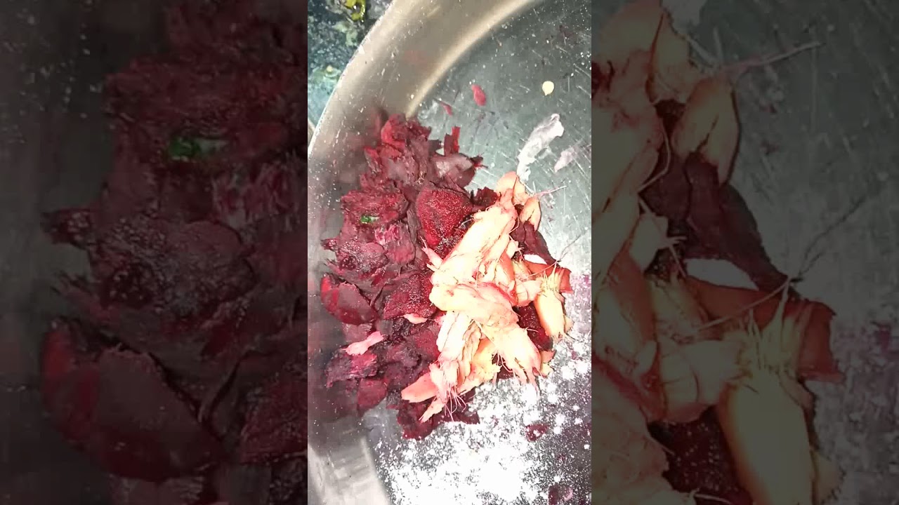 ટેસ્ટી હેલ્થી શિયાળા ની વાનગી | બીટ ની પુરી | લાલ પુરી