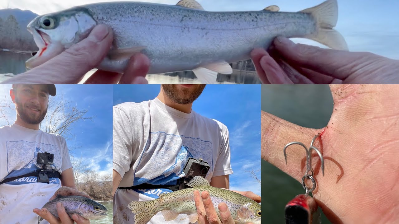 Long day of Catching Trout. Quail Lake Colorado Fishing March 7th 2021