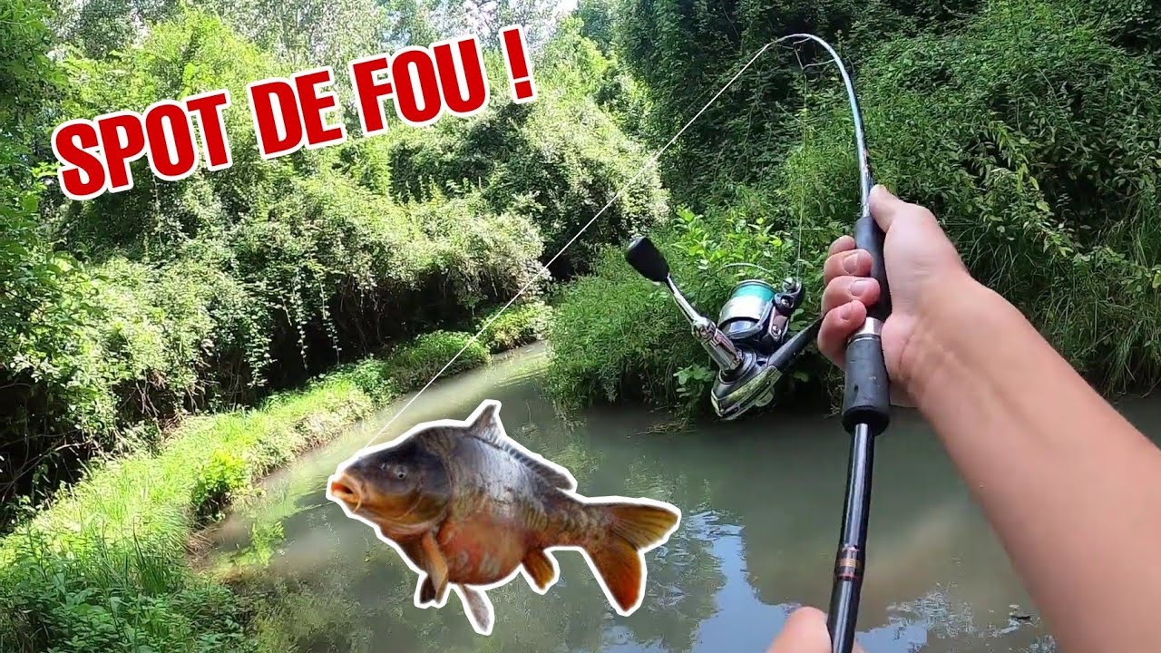Des CARPES dans un RUISSEAU !? Elles mordent à chaque fois !