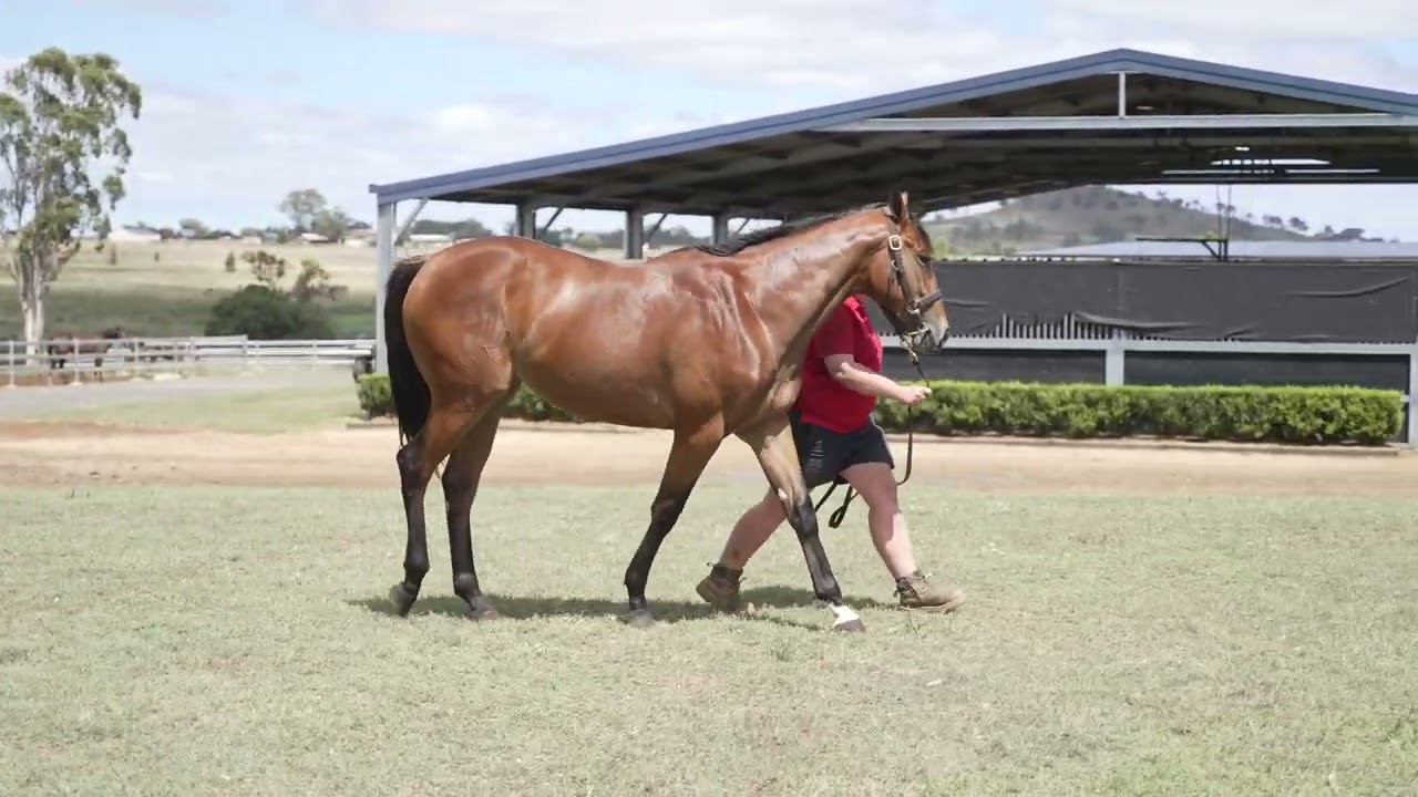 Lot  8