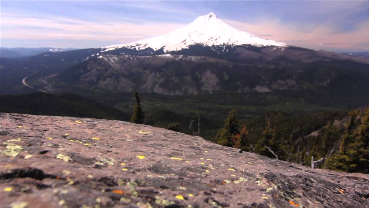 Tim McChesney/Mt.Hood-Keep Looking (2011-2012)